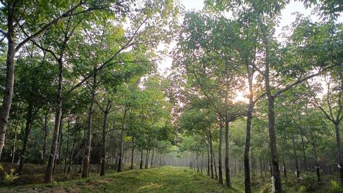 Sangameswarpet House | Happy Homestay