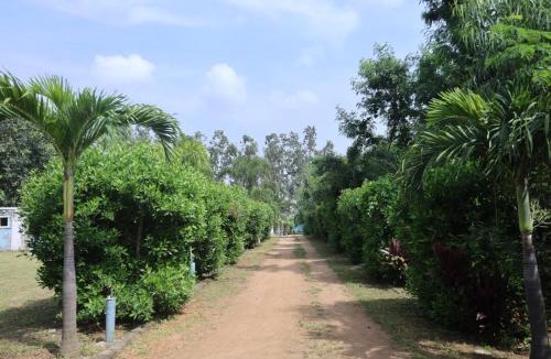 Kamalapur Hotel | Hampi Blue Moon Resort