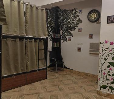Hazratganj Hostel | Green Olive