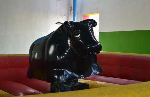 Pali Hotel | Mahi Baagh Resort