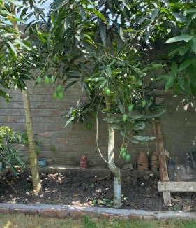 Noorpur House | Sandhyamalati Homestay and Picnic Ground