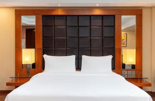 South West Hotel | Radisson Blu Plaza Delhi Airport