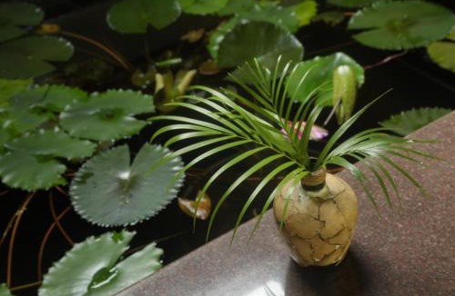 North Paravur House | Mi Casa Tu Casa Homestay