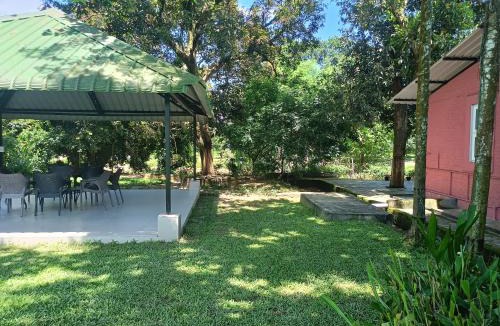 Margherita Hotel | Chai Seeds Resort