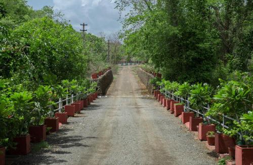 Sasan Gir Hotel | Gir Serai - IHCL SeleQtions