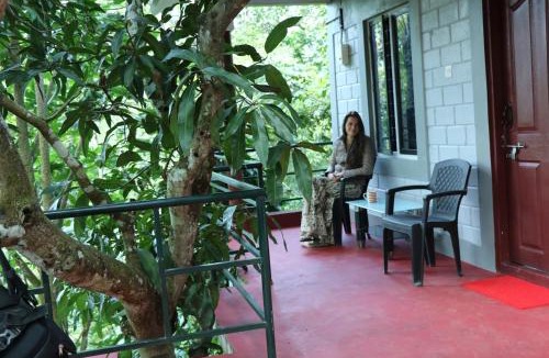 Thekkady Hotel | Periyar Green Bed & Breakfast