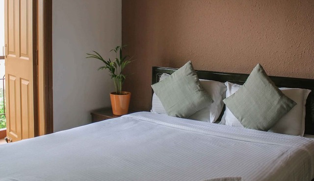 Catalyst Suites