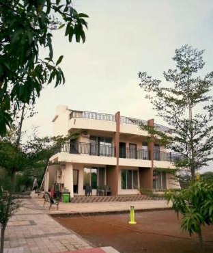 Golden Palm Retreat in Katrab