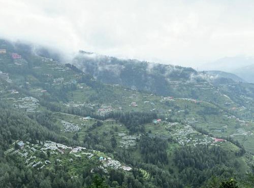 Treebo Fagu Peaks