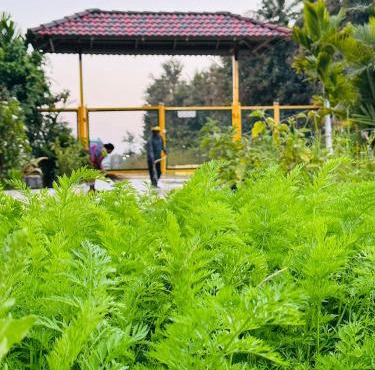 Chikkamagalur Stay