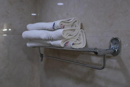 Hotel SSB international