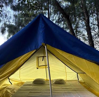 Camp Wildnest Adventures Ziro