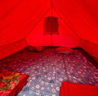 Guester homestay and campsite