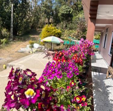 Elves Homestay