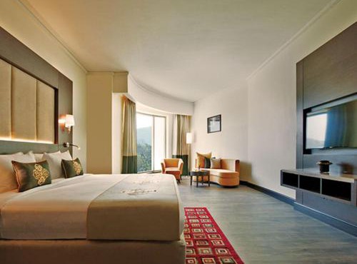 Radisson Blu Plaza Hotel Mysore